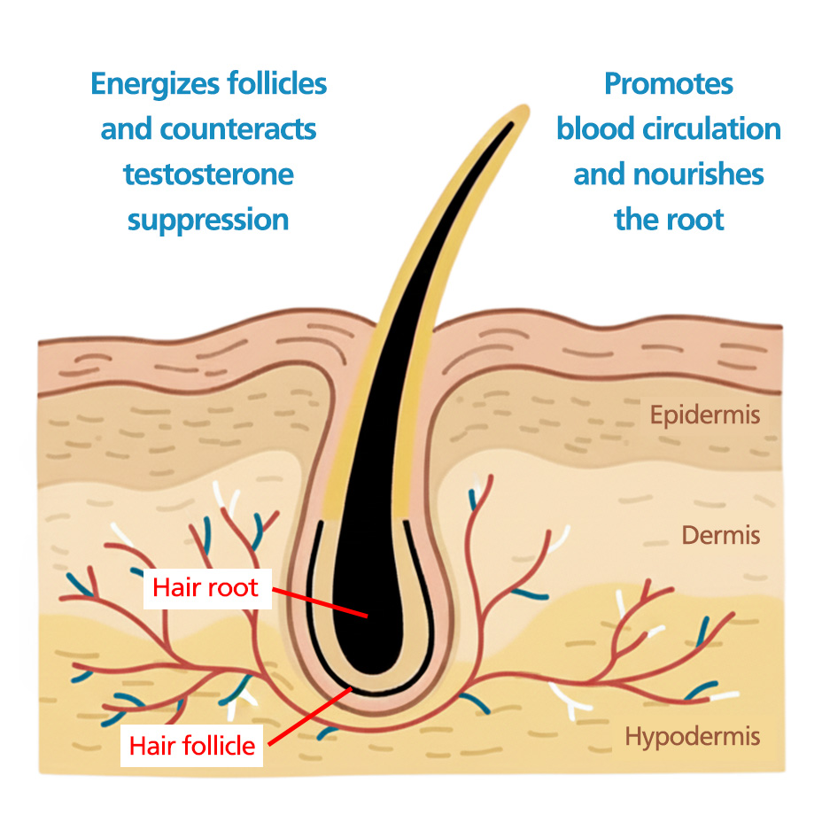 DeoxyMax premium hair growth supporting serum. Regrow your hair in as little as 6 weeks!* Energizing Caffeine, Refreshing Peppermint Oil, and 5% deoxyribose. - Image 3