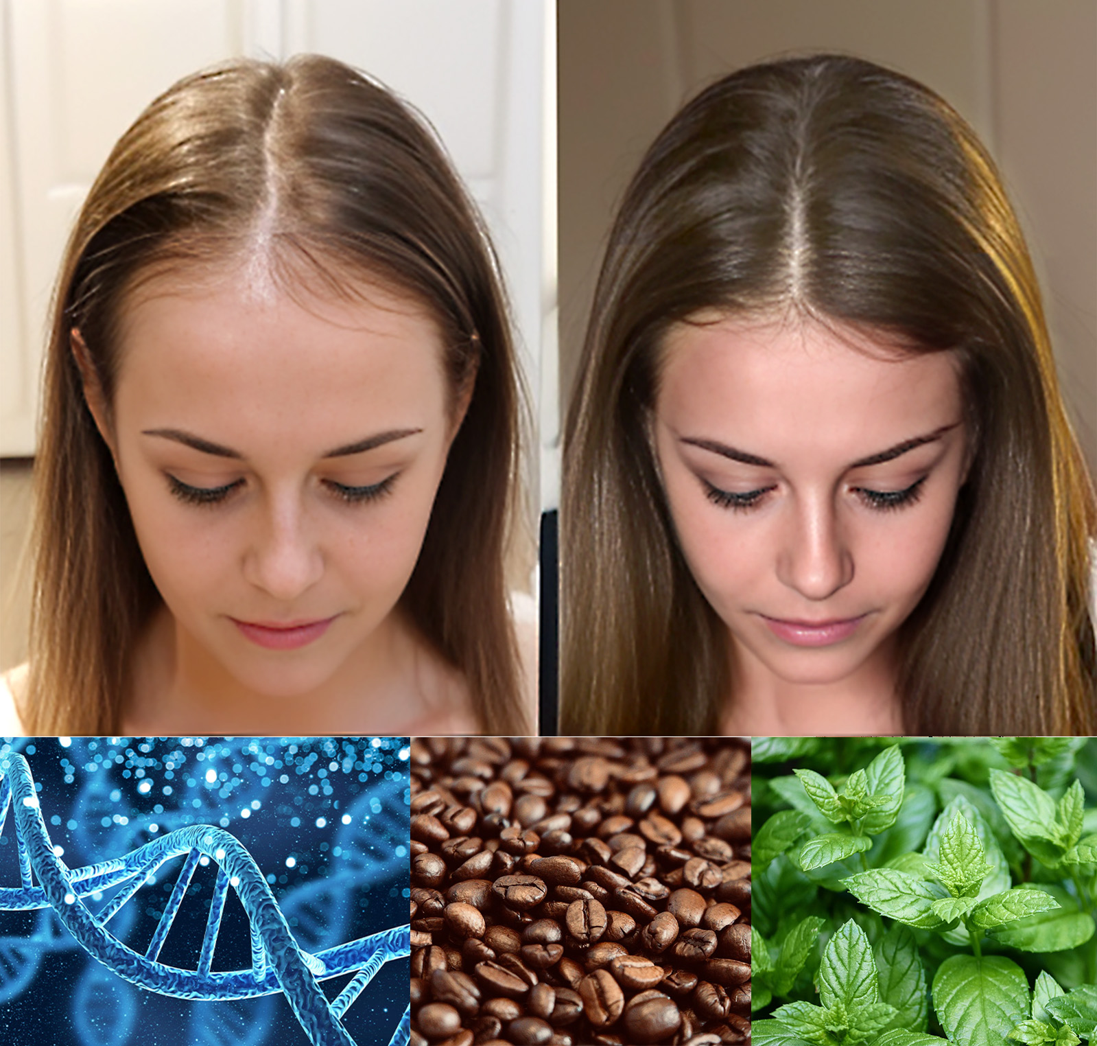 DeoxyMax premium hair growth supporting serum. Regrow your hair in as little as 6 weeks!* Energizing Caffeine, Refreshing Peppermint Oil, and 5% deoxyribose. - Image 7